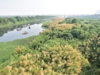 Đồng Bằng Sông Hồng